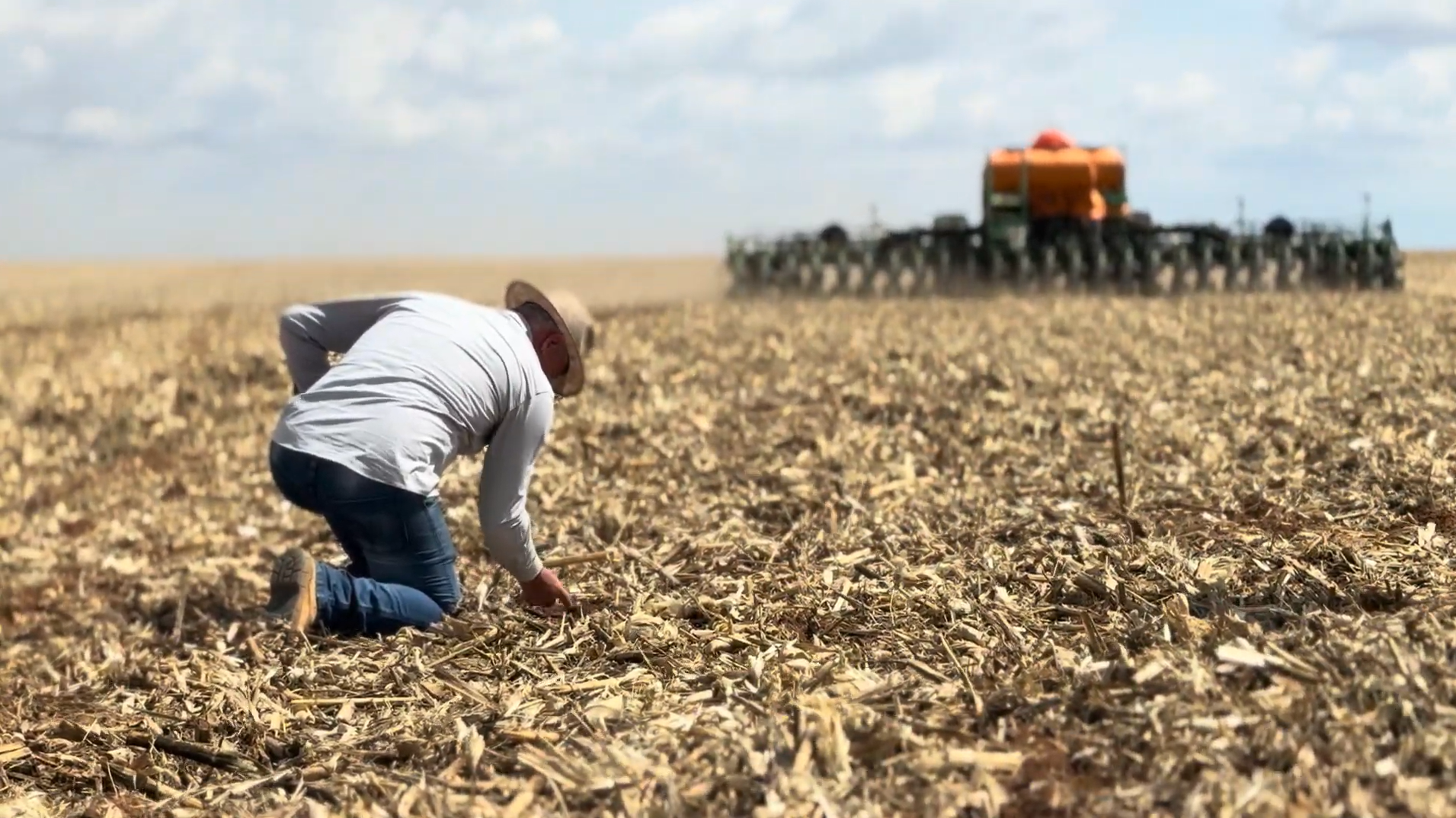 Produtores do Cerrado baiano iniciam plantio antecipado de soja