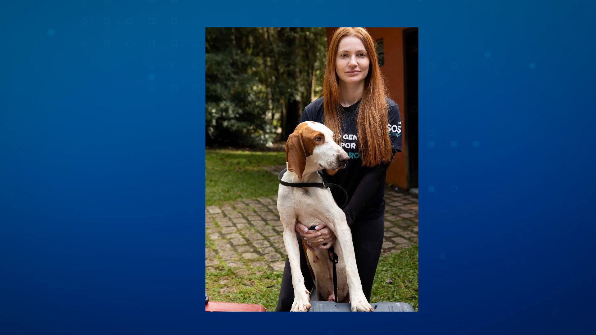 Candidata a deputada estadual é alvo de buscas do Gaeco em Campo Largo