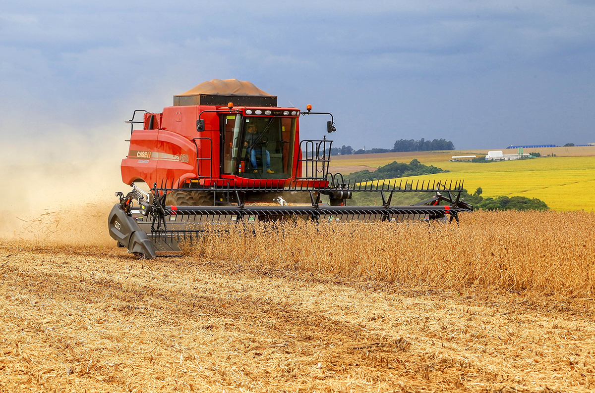 Produção agrícola em agosto foi 2% maior comparado a 2025, segundo IBGE