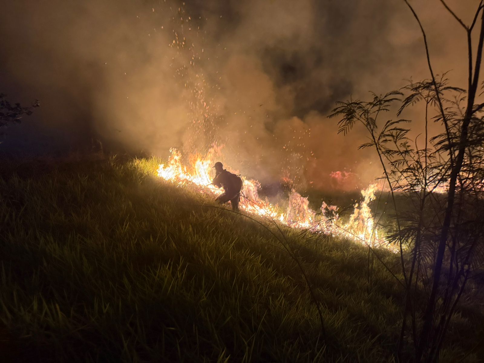 Queimada às margens da SP-294 mobiliza Bombeiros