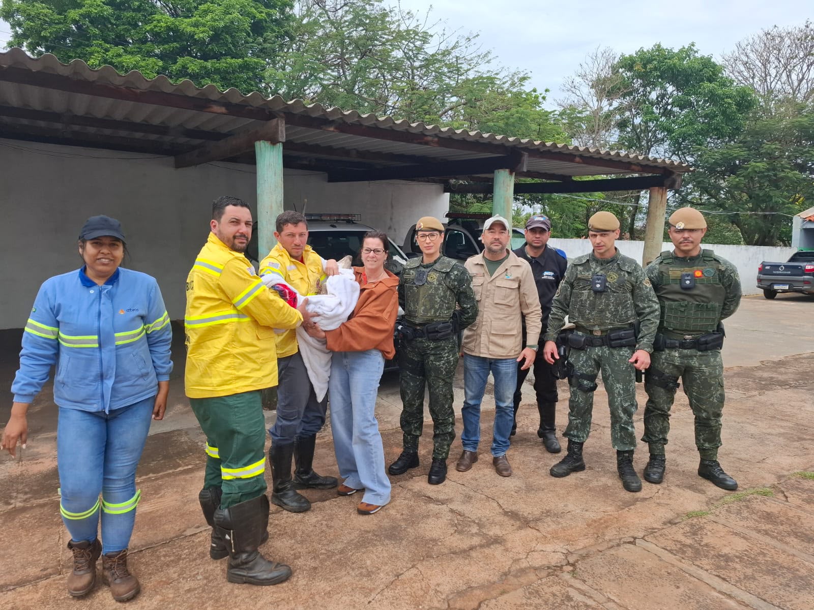 Filhote de anta com fratura na pata é resgatado
