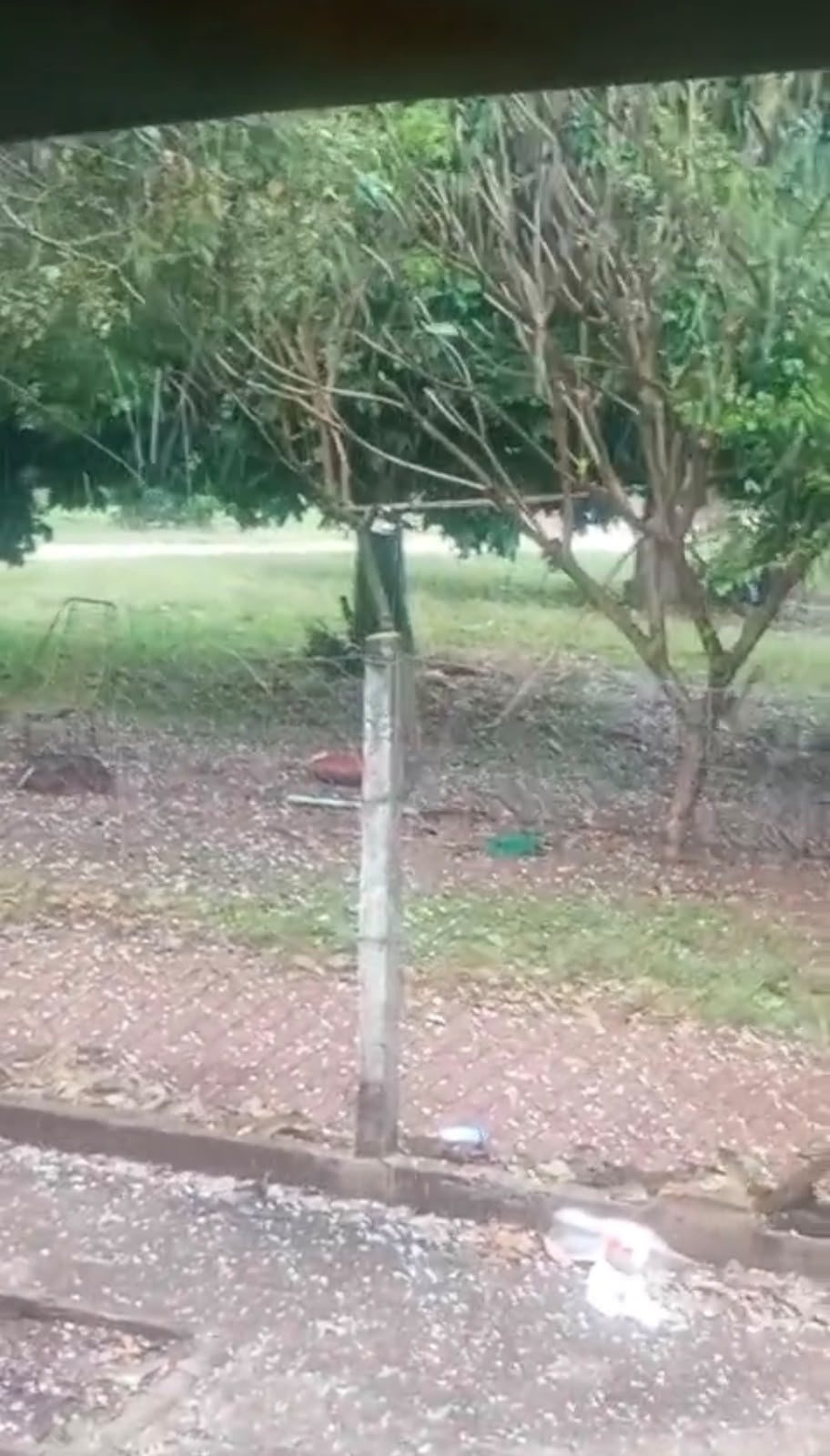 Chuva de granizo atinge distrito de Itajobi e assusta moradores
