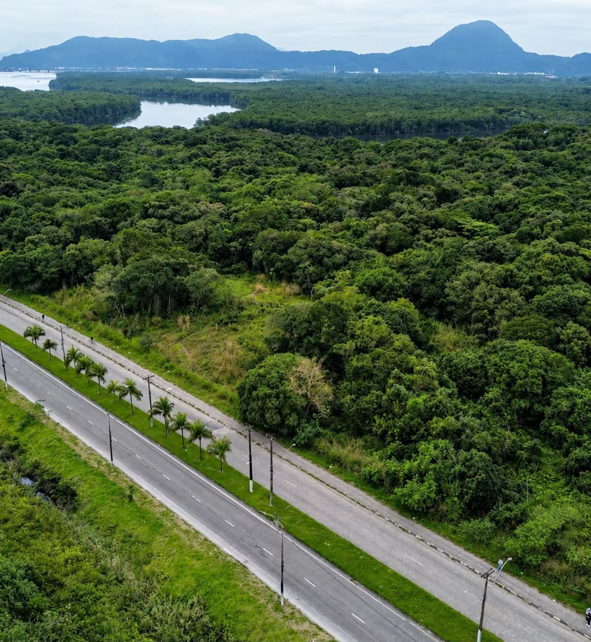 Santos projeta parque ecológico junto ao novo CT da base em São Vicente