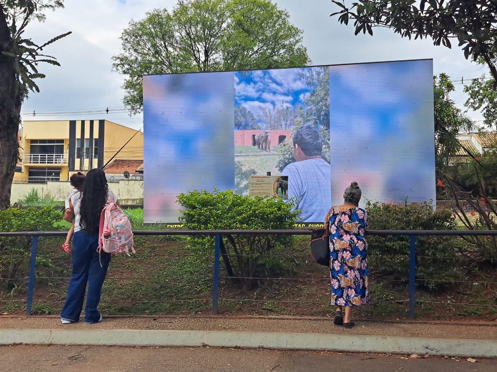 Painel de LED pode ser encontrado no antigo recinto de Sandro — Divulgação