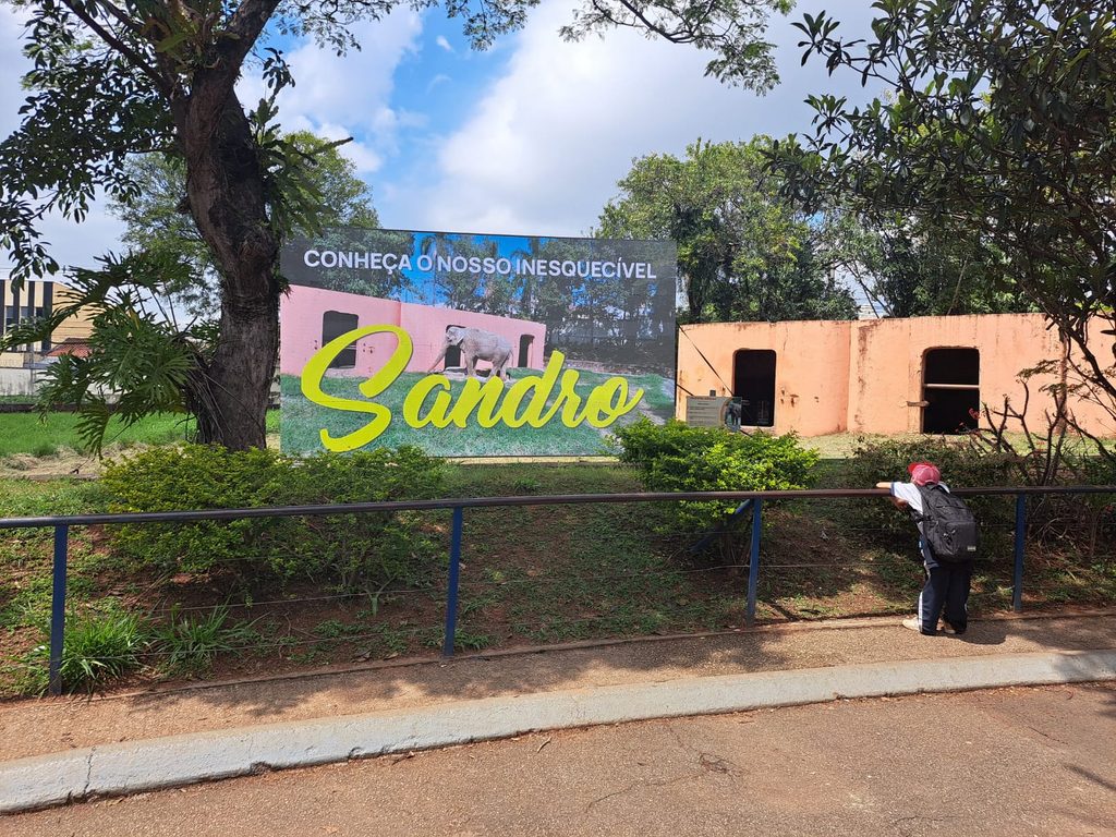 Painel de LED exibes registros de Sandro — Divulgação