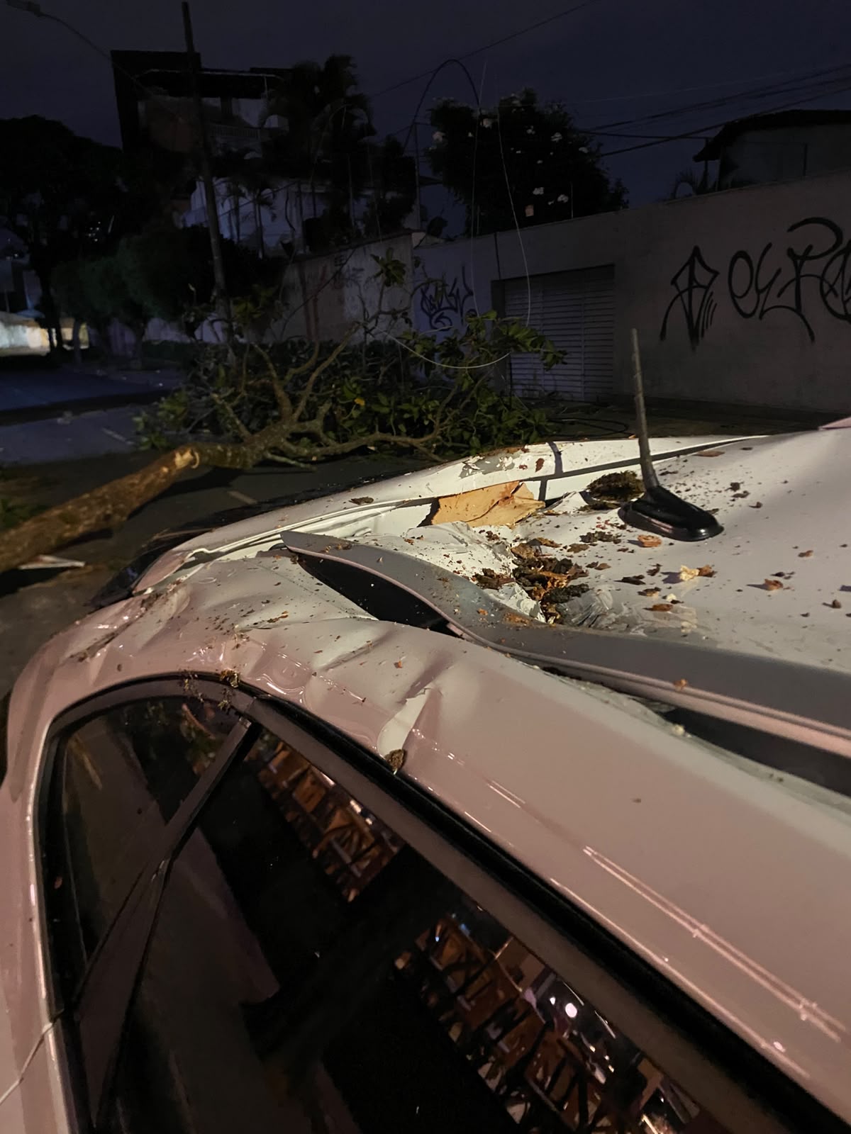 Árvore cai sobre carro com quatro pessoas na Pampulha