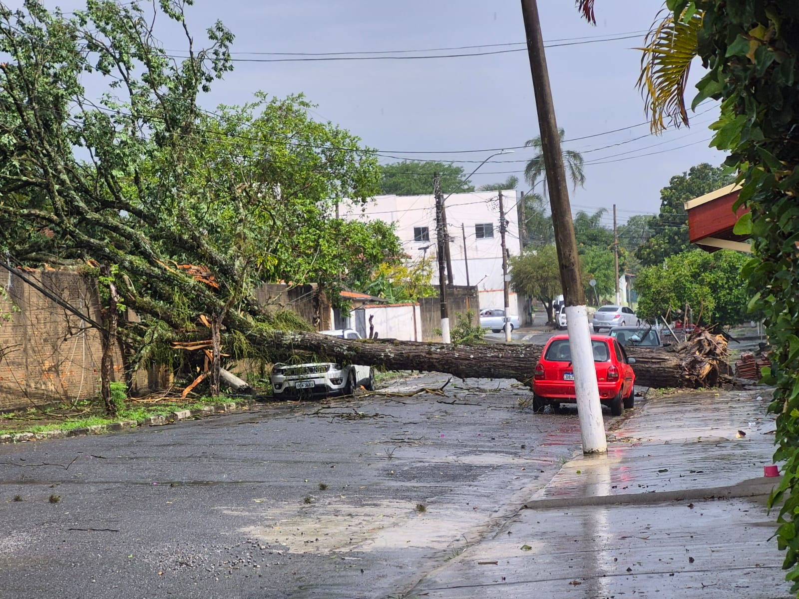 Pindamonhangaba registra 21,1 mm de chuva e rajadas de vento