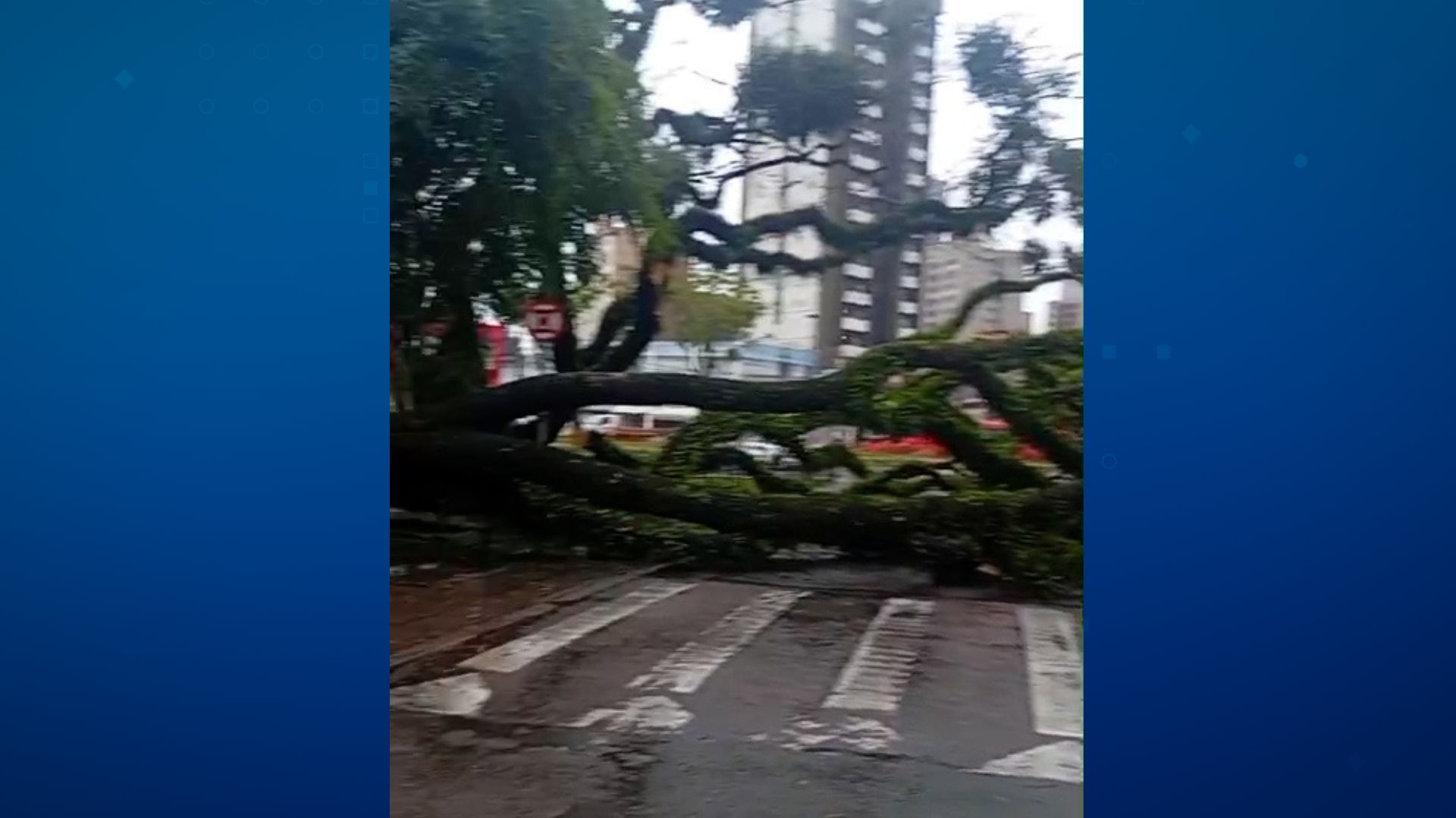 Chuva passa de 100 mm no Paraná e provoca estragos nesta quinta-feira