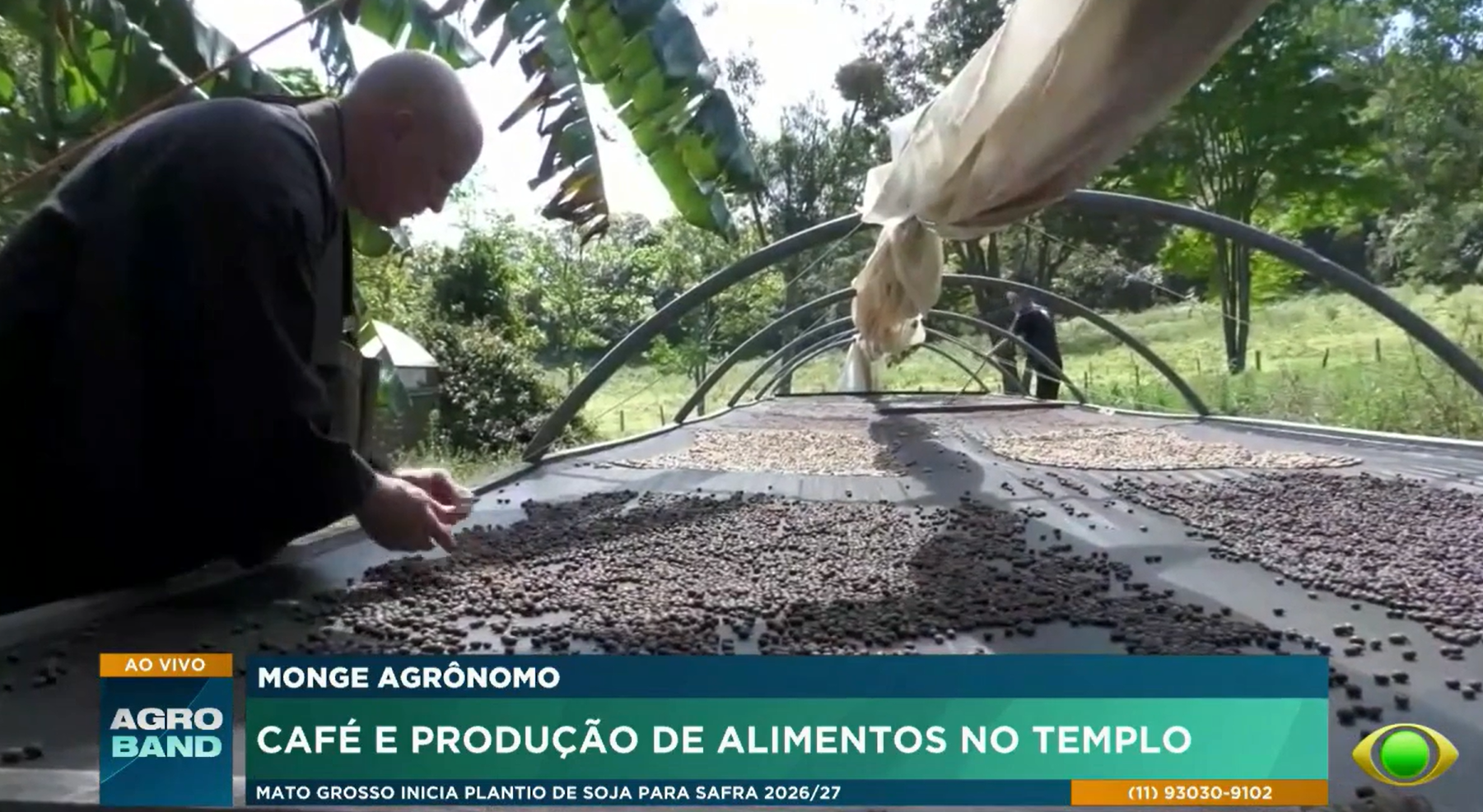 Monge budista produz café ecológico em templo na Serra da Mantiqueira