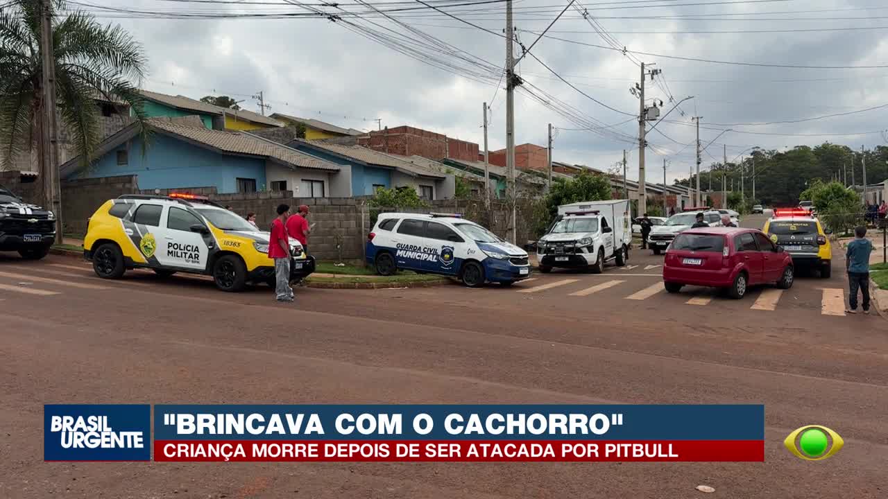 Criança morre após ataque de pit bull em Apucarana, no Paraná