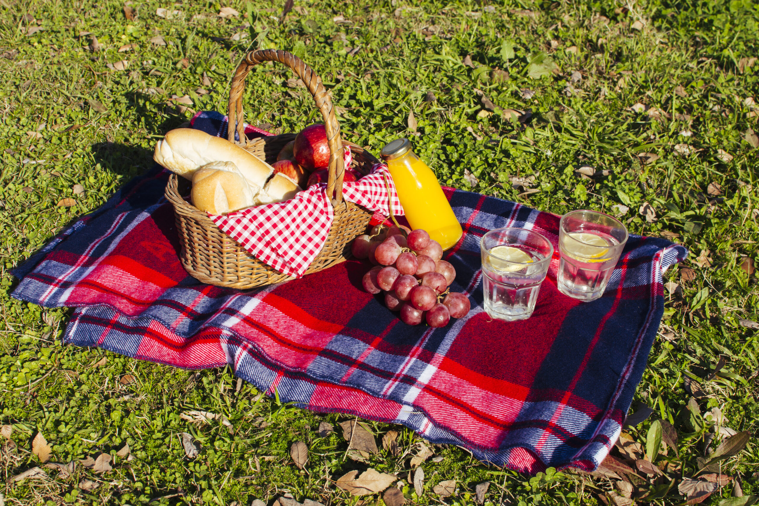 É primavera! 10 receitas deliciosas para colocar na sua cesta de piquenique