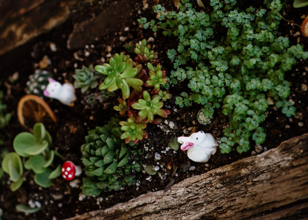 Representação artística é uma miniatura de um jardim real — Pexels