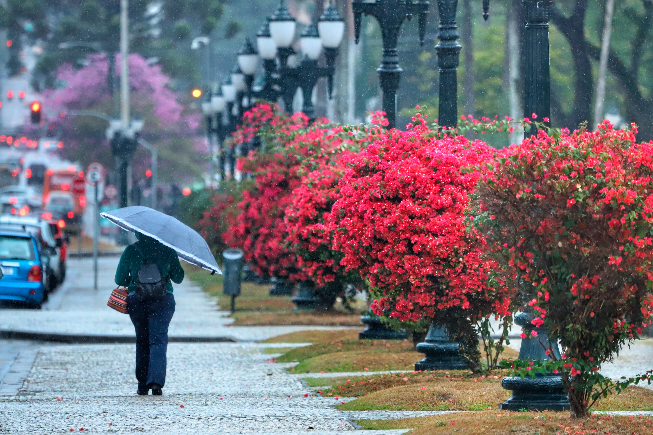 Veja a previsão do tempo para sexta-feira no Paraná, segundo o Simepar