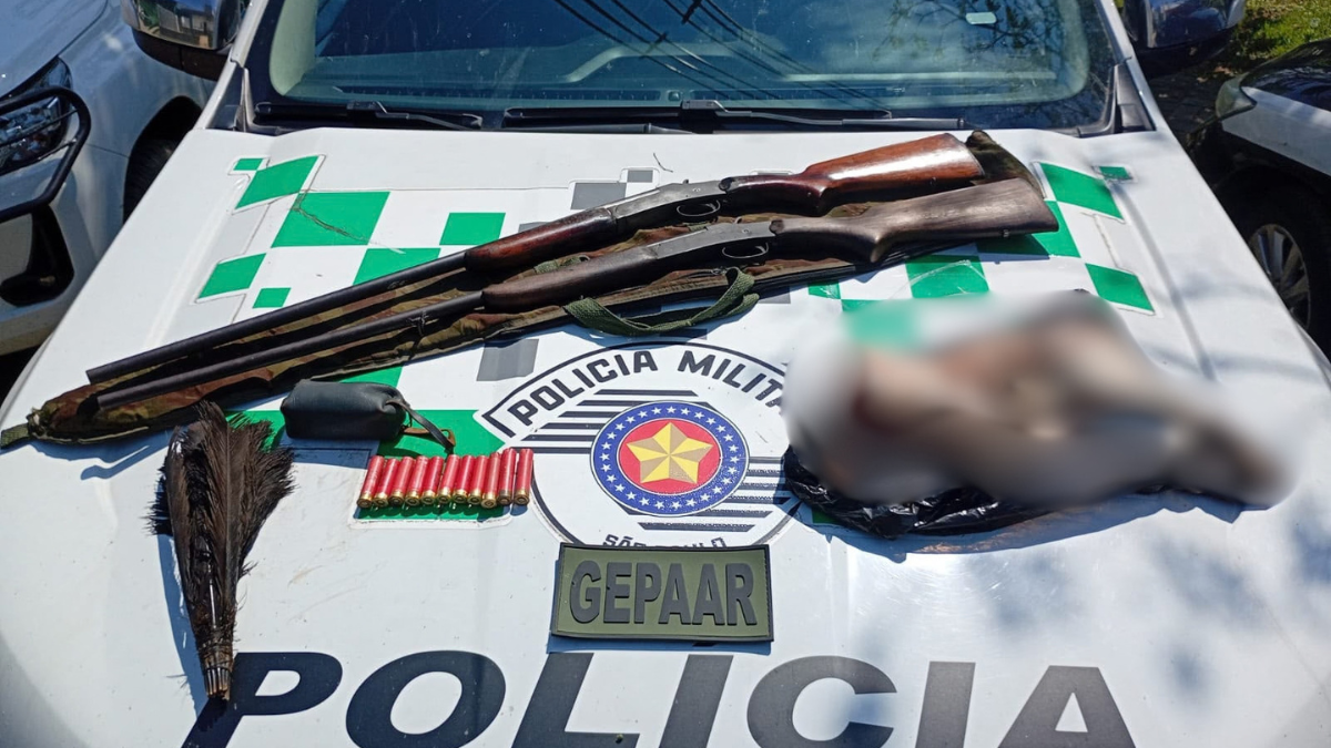 Polícia Ambiental localiza armas em unidade de conservação em Ilhabela