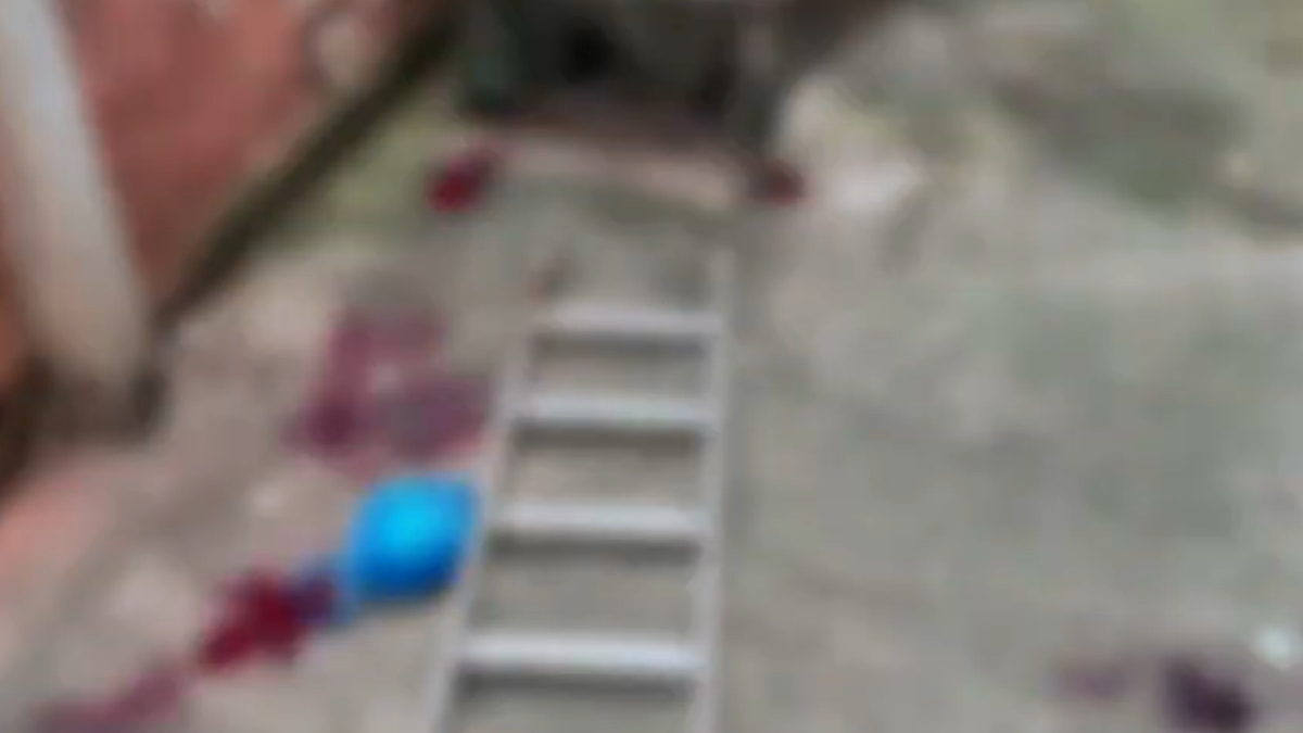 Criança de três anos morre após ser atacada por pit bull no RJ