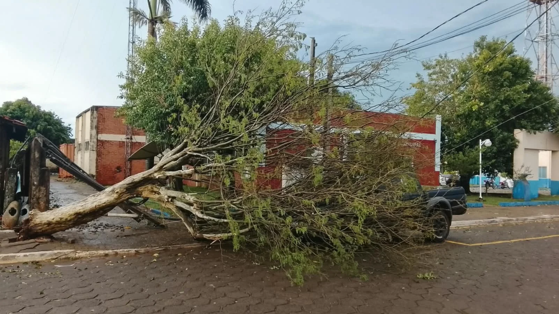 Simepar analisa temporais no Paraná e descarta indícios de tornado