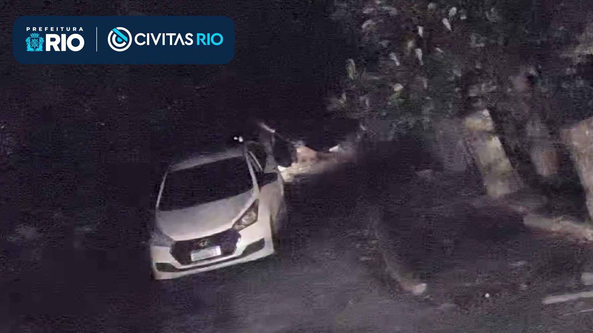 Casal é flagrado por câmeras ao abandonar e atear fogo em cachorro no Rio
