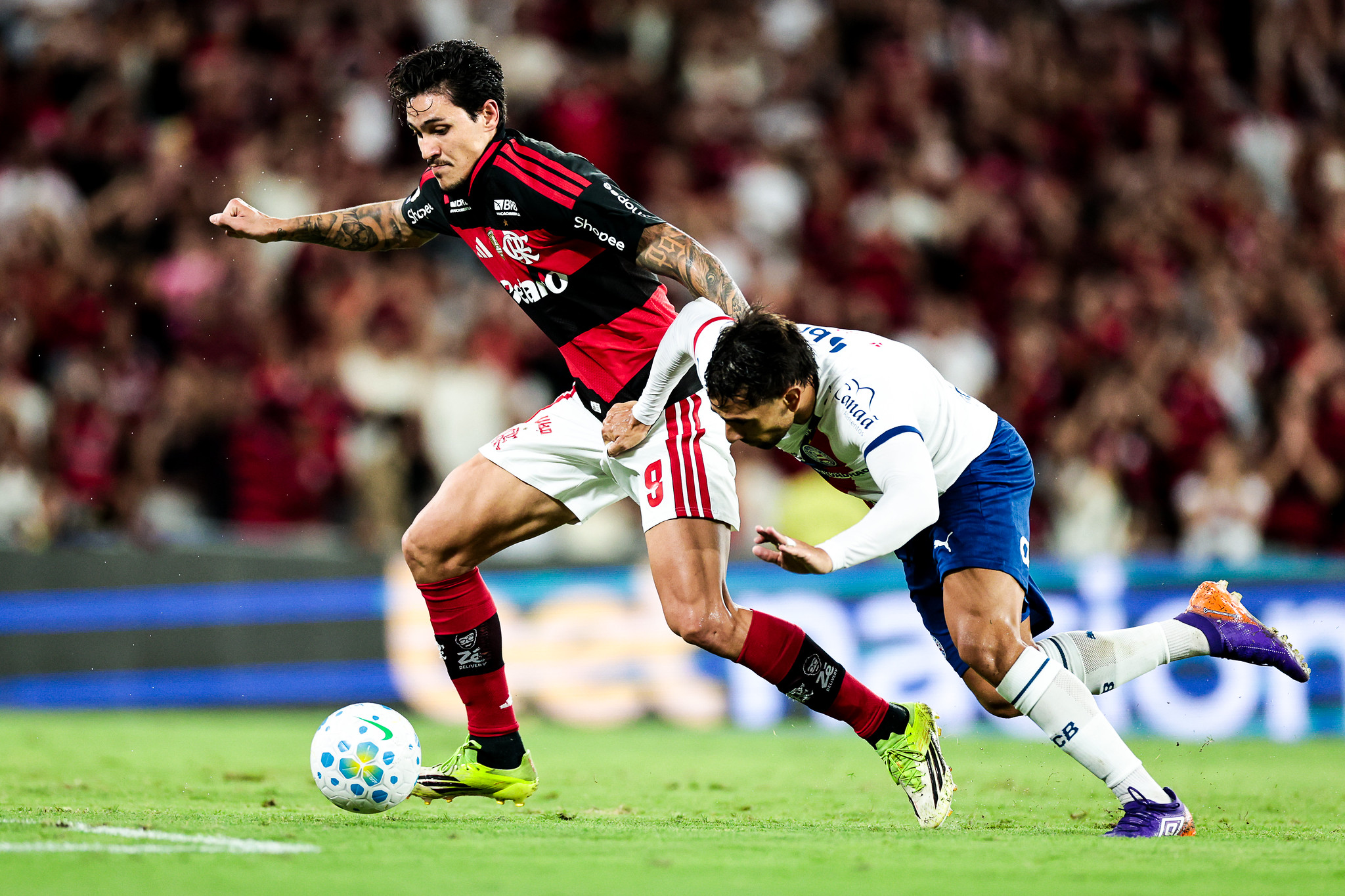 Bahia x Flamengo: onde assistir, horário e escalações no Brasileirão