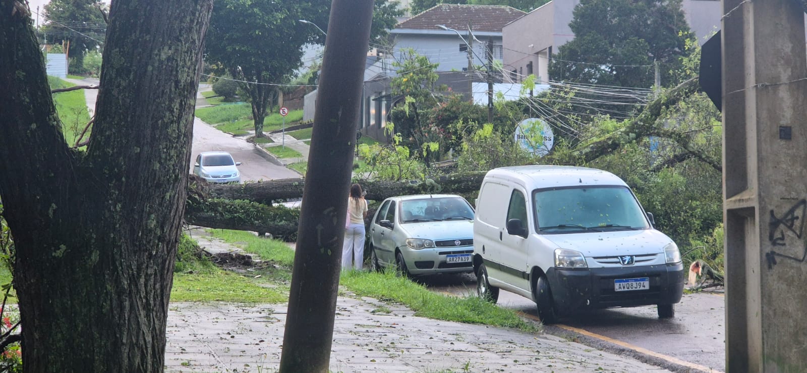 Granizo atinge bairros centrais de Curitiba; árvore cai sobre carro
