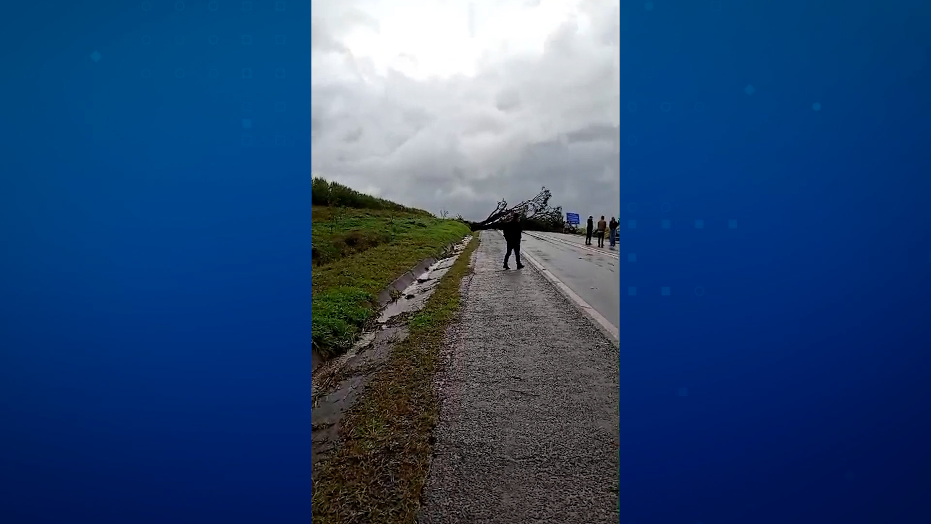 Temporal provoca estragos no Norte Pioneiro do PR nesta sexta-feira(23)