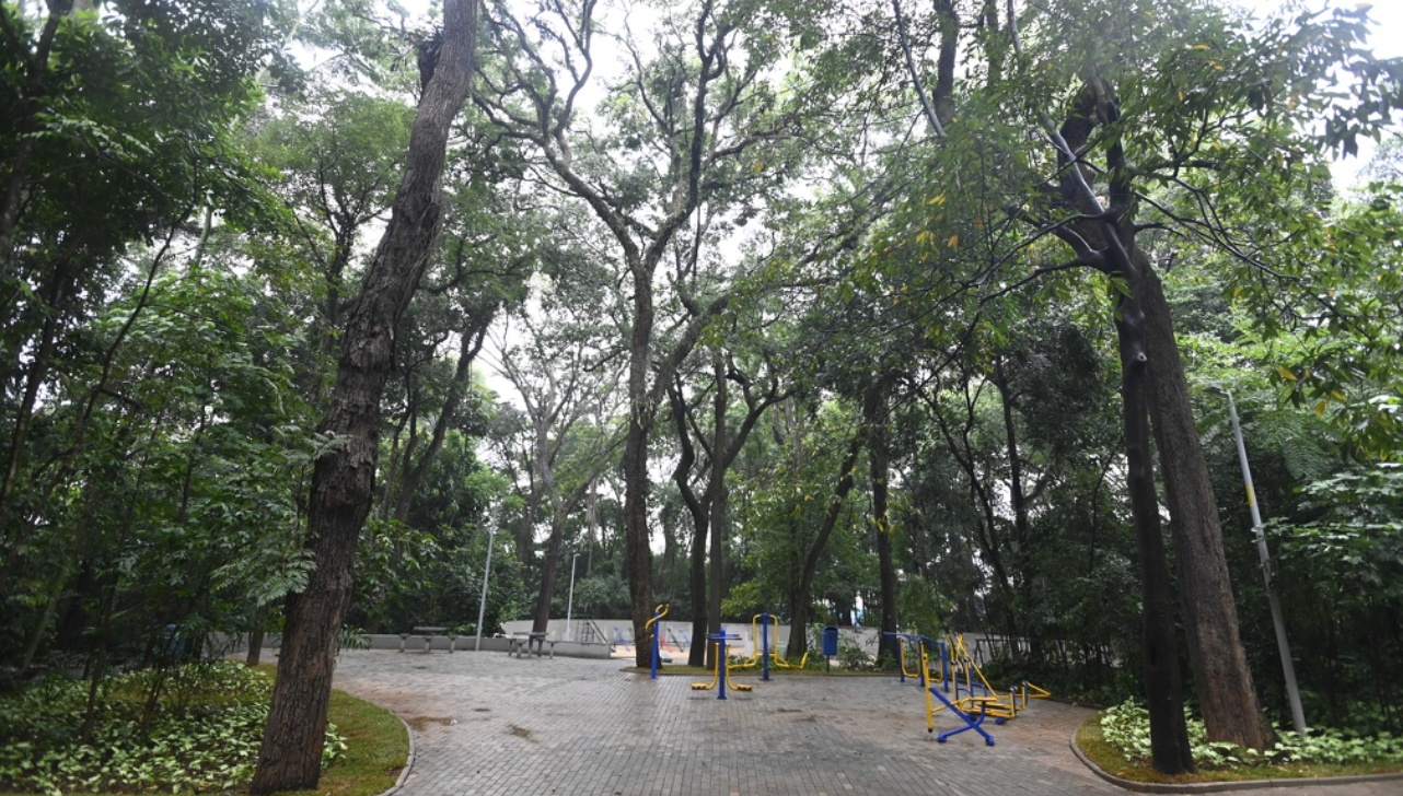 Campinas fecha 13 parques e bosques devido às fortes chuvas; veja quais