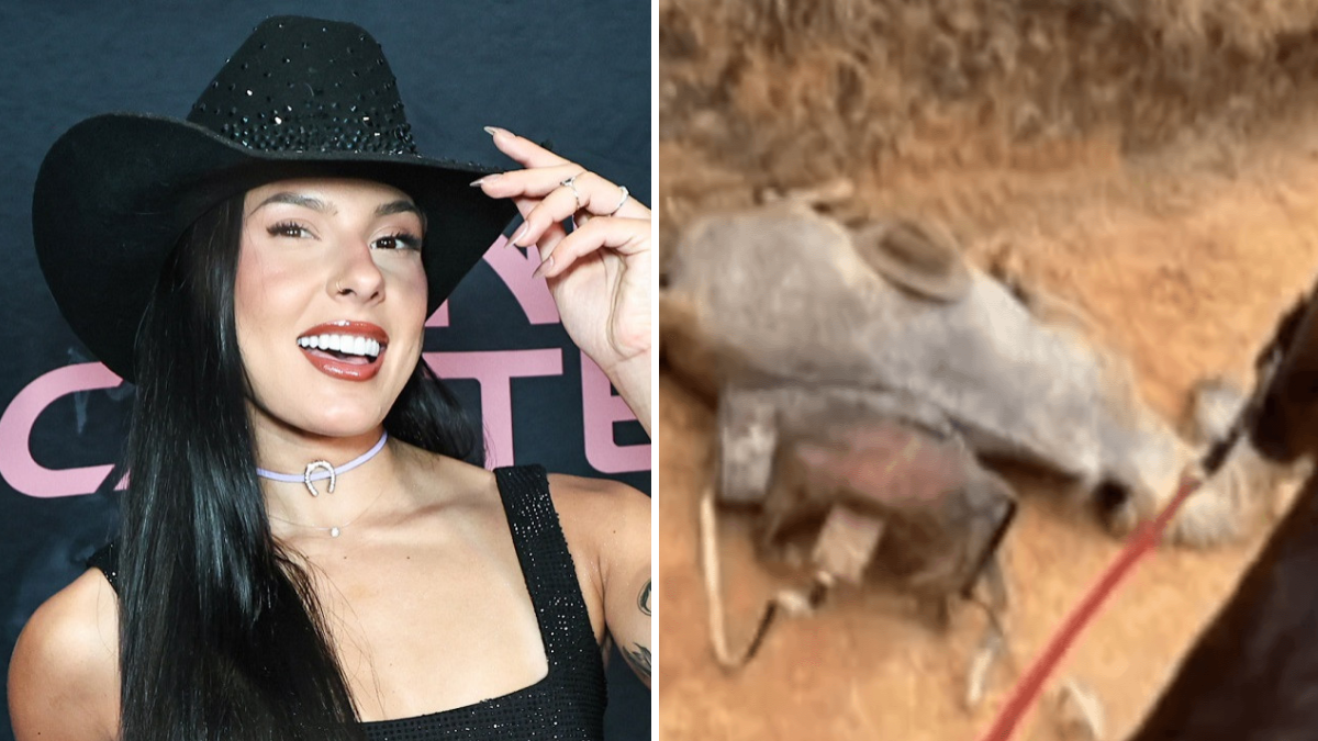 Ana Castela é condenada após chamar homem de “criminoso”