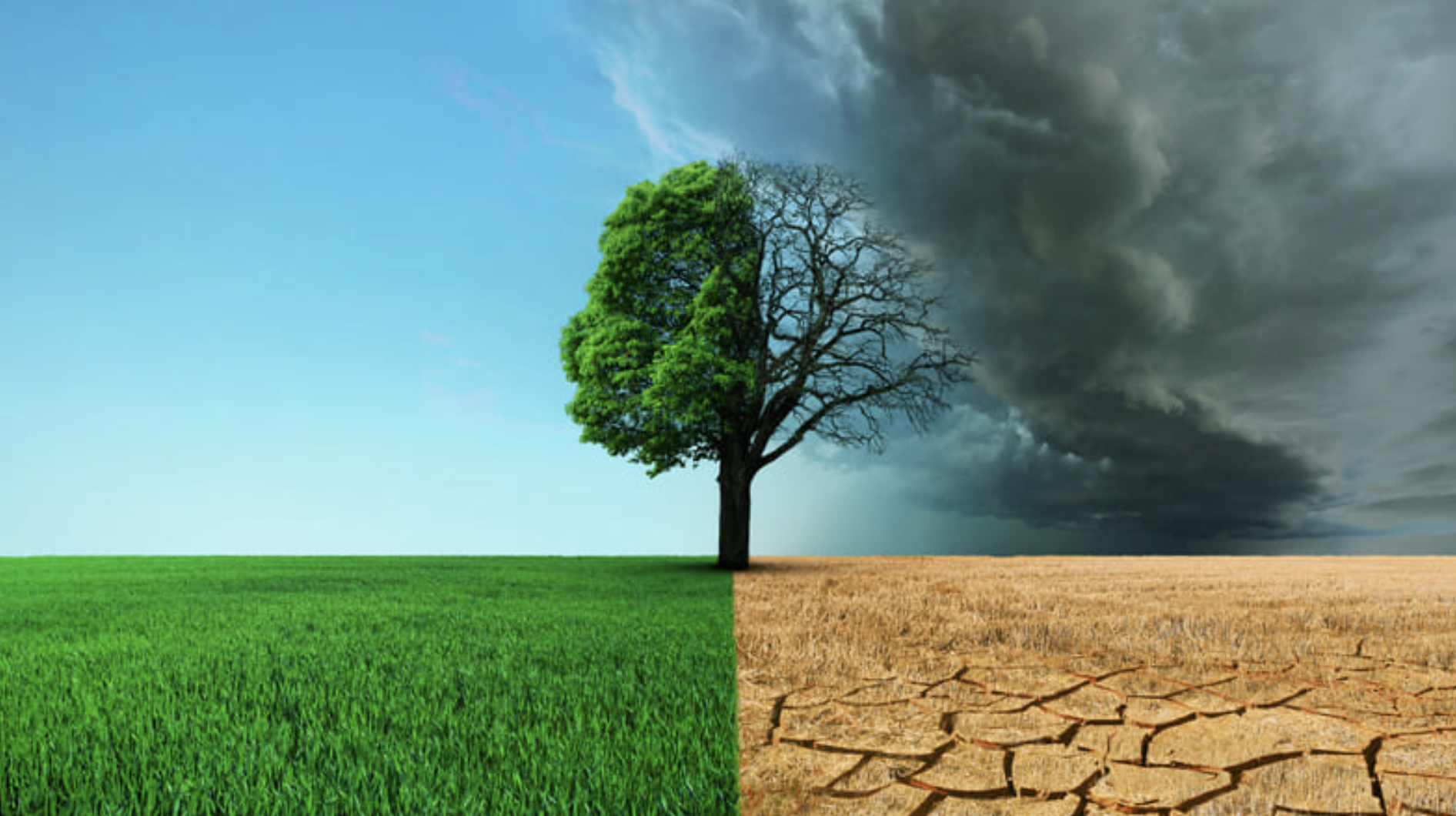 O clima mudou. Vamos prevenir ou reconstruir nossas cidades?