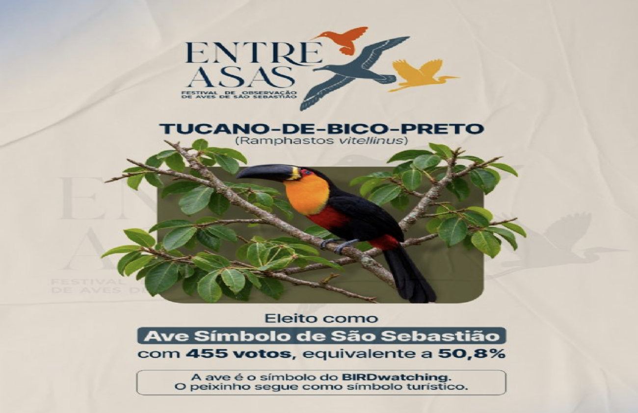 São Sebastião elege tucano-de-bico-preto como Ave Símbolo após votação