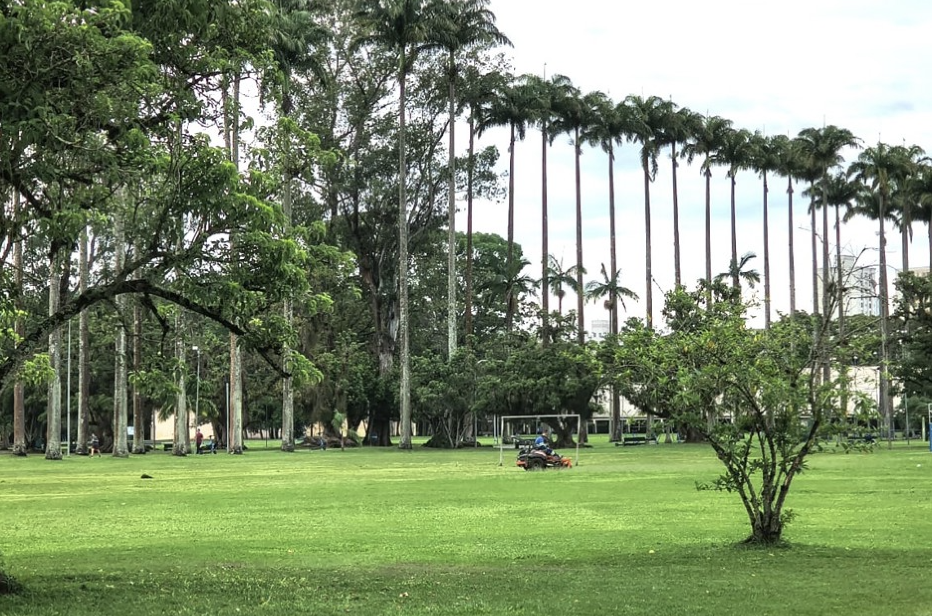 Prefeitura de São José reforça zeladoria para o período de chuvas