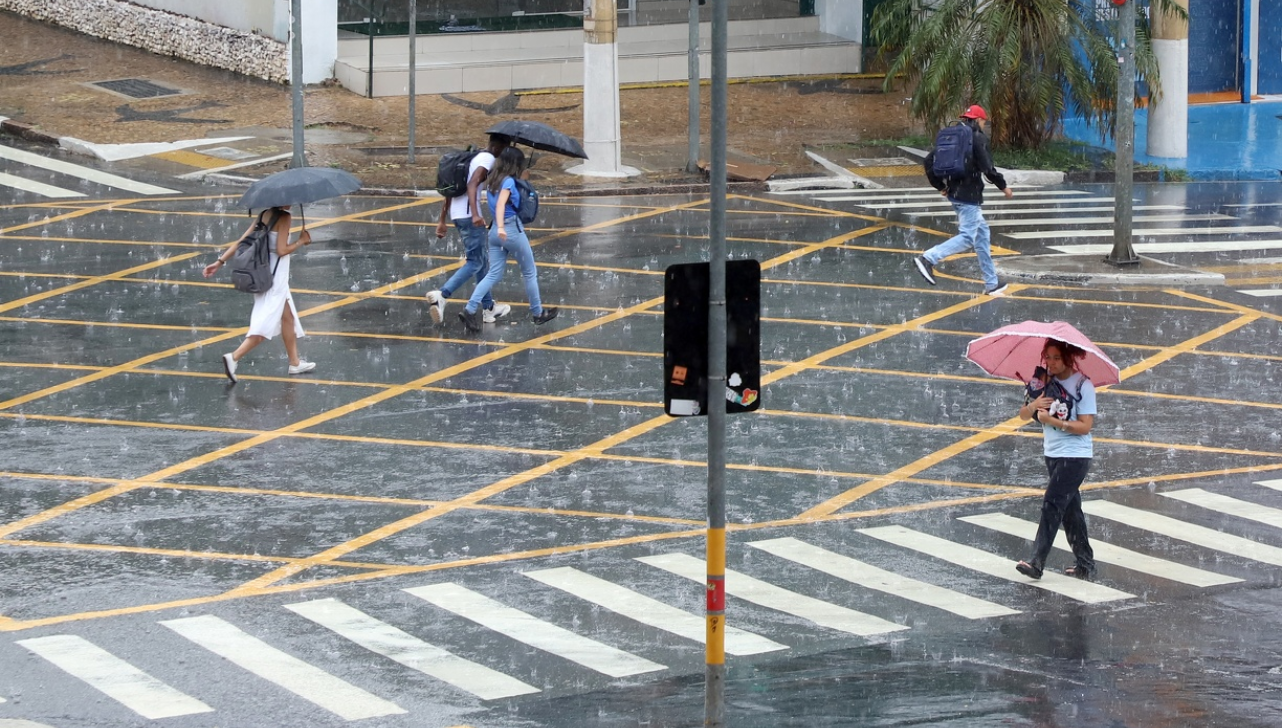 Chuva em Campinas provoca 30 ocorrências e fecha 13 parques