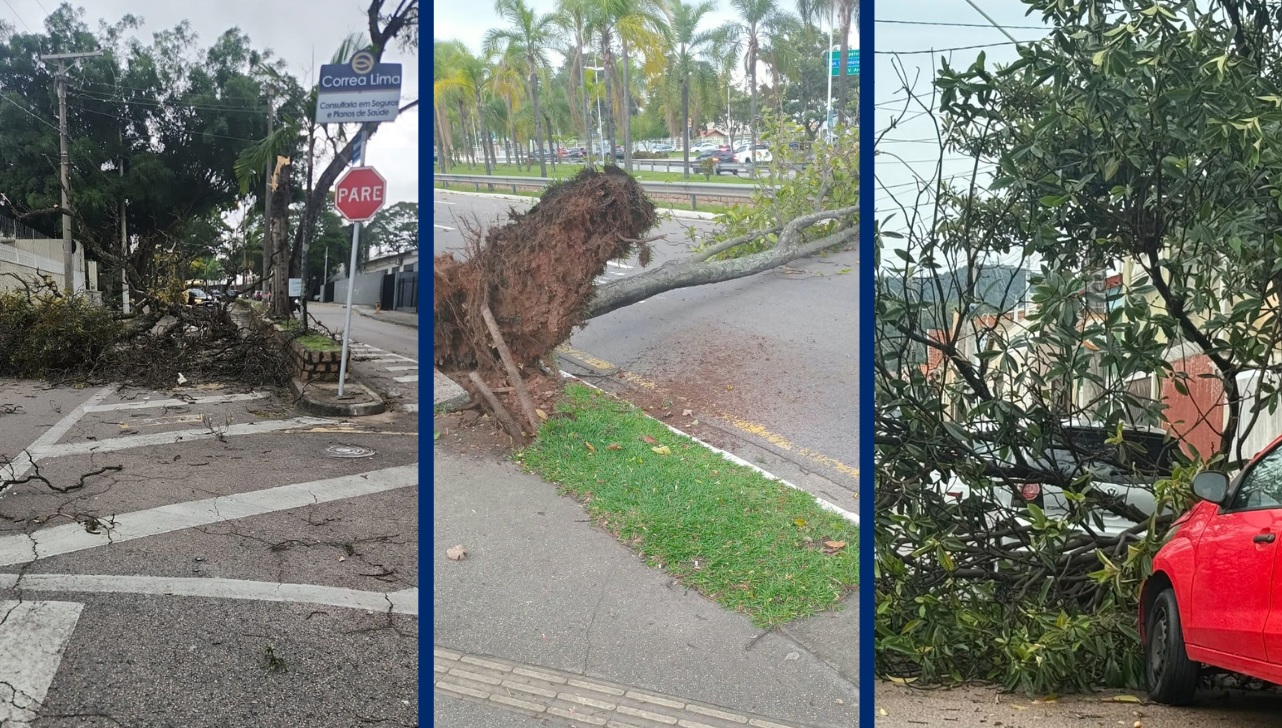 Chuva forte com ventos intensos provoca queda de árvores e danos em Jundiaí