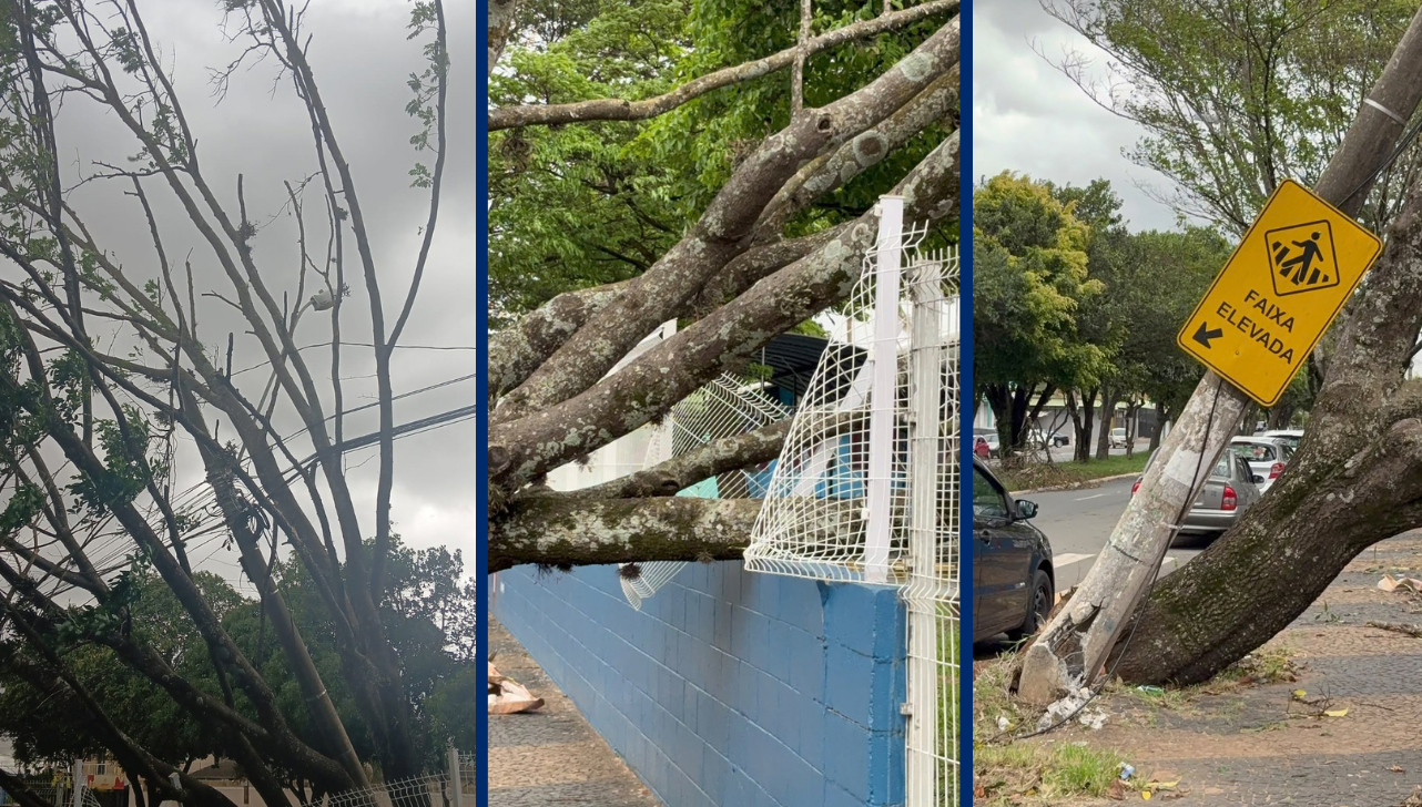 Temporal deixa local de votação sem energia após queda de árvore em Limeira