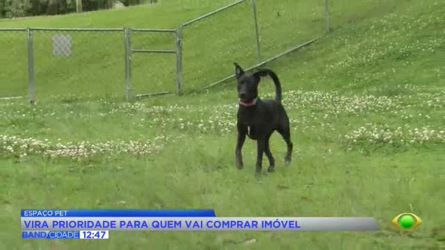 Espaço pet vira exigência na compra de imóveis no Brasil