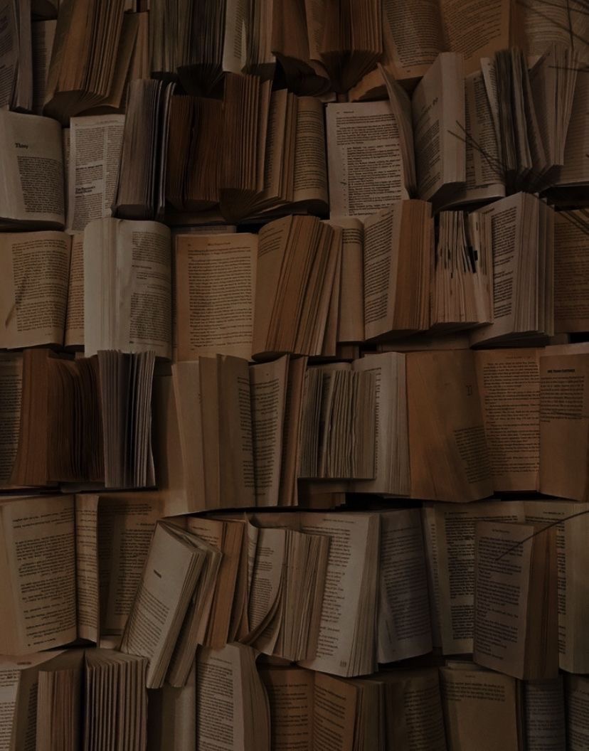 Cinco escritoras brasileiras que merecem um lugar na sua estante