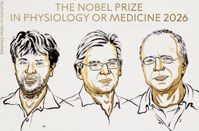 Nobel de Medicina vai para três cientistas por pesquisas sobre atividade cerebral