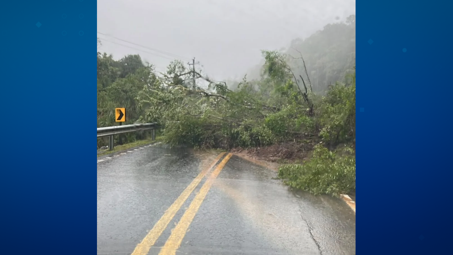 Queda de árvores bloqueia trecho da PR-364, na Serra do Leão