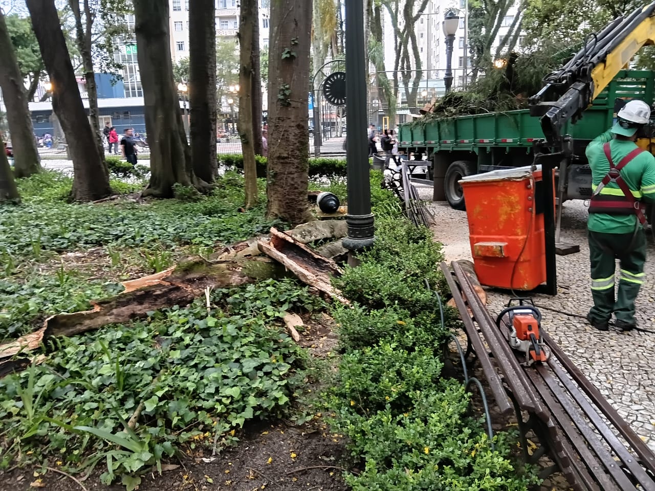 Prefeitura fecha Praça Osório após nova queda de galho em Curitiba