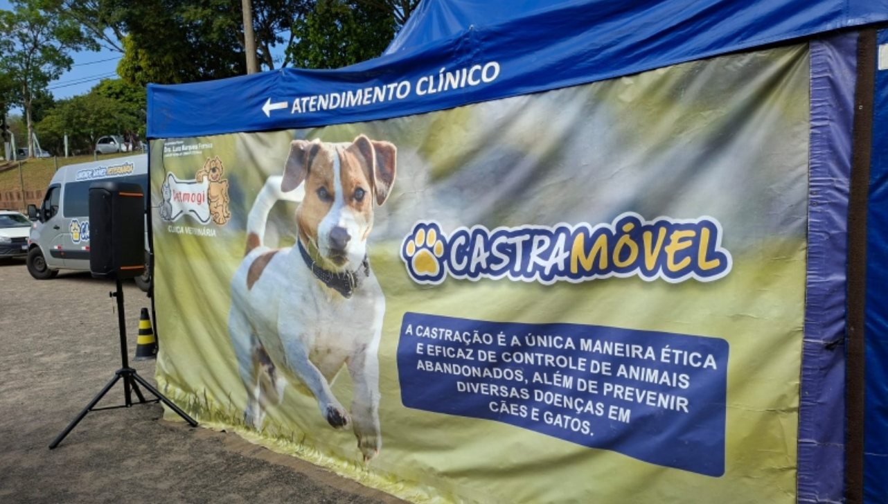 Valinhos abre inscrições para mutirão gratuito de castração de cães e gatos