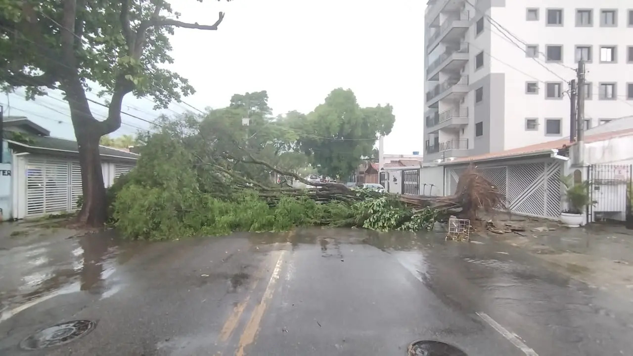SJCampos registra 7 quedas de árvores e ventos de 72km/h