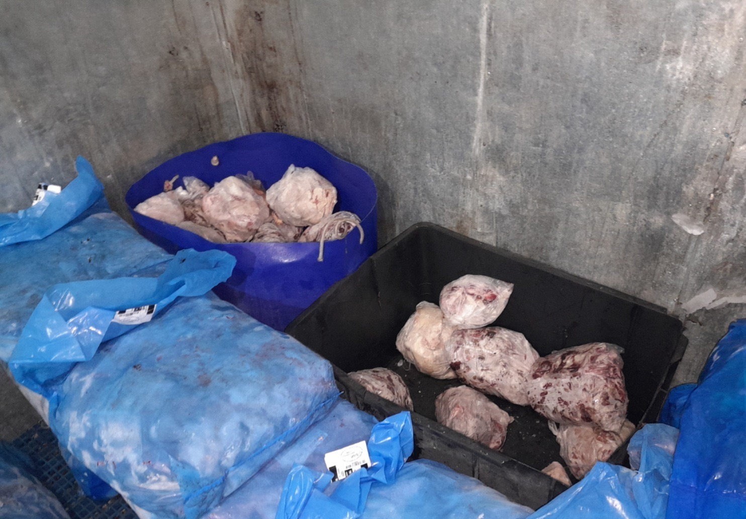 Prefeitura e PC apreendem 500 kg de carnes em fábrica clandestina