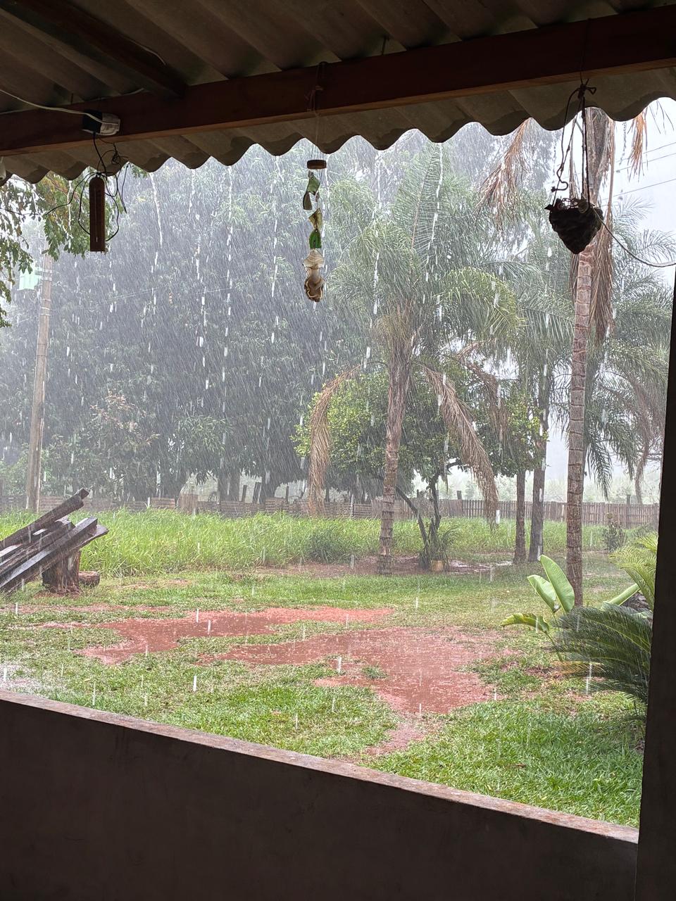 Temporal provoca queda de árvores e danos em cidades da região de Rio Preto