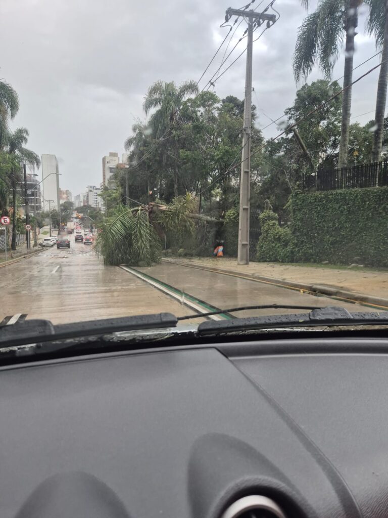 na Alameda Presidente Taunay, uma árvore caiu sobre a rede elétrica. Foto Mercês Mais Segura