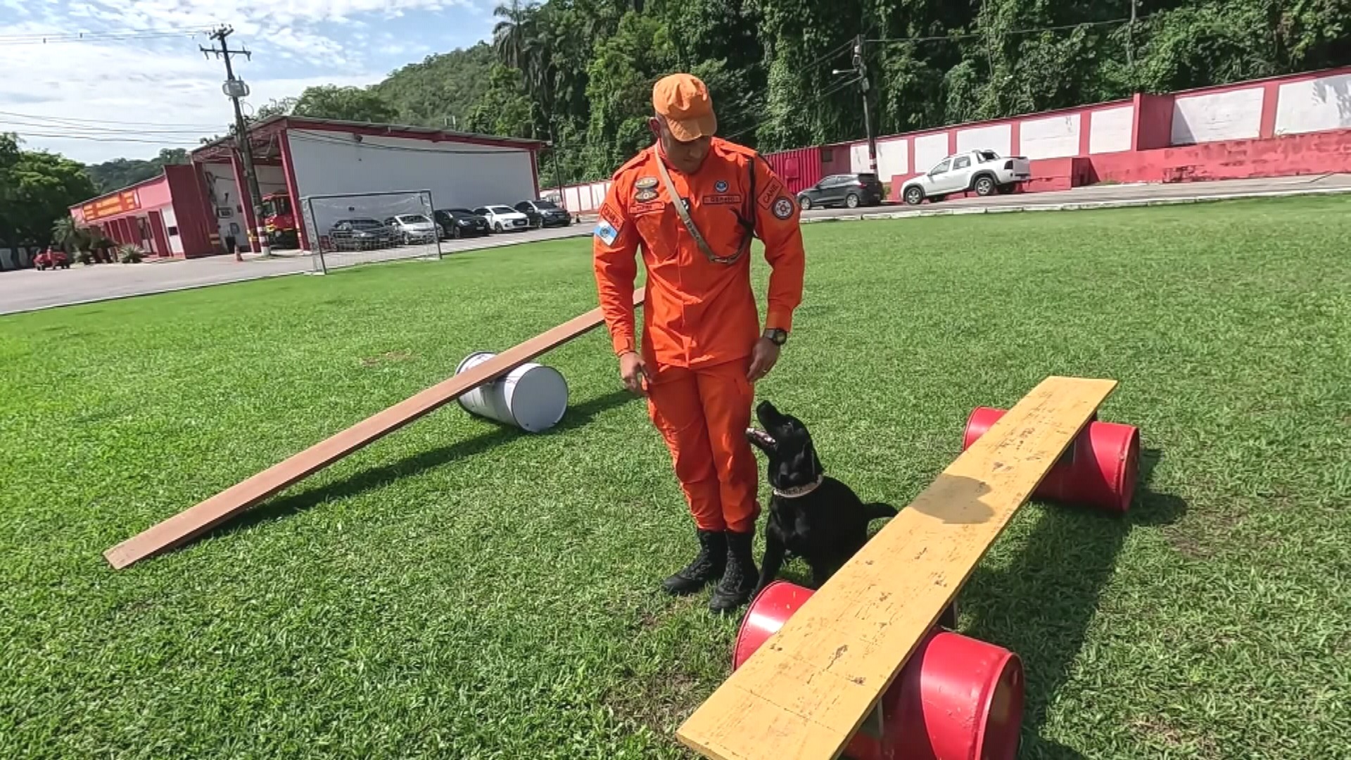 Bombeiros do Rio celebram 20 anos do Serviço de Operações com Cães