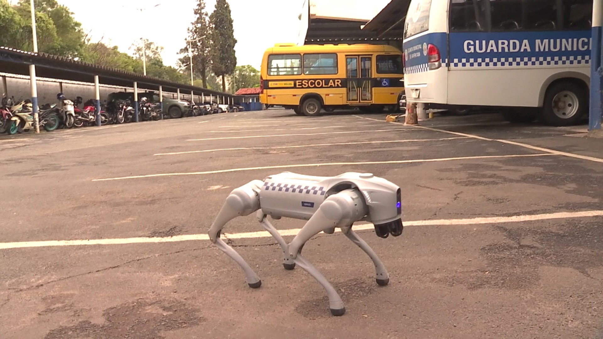 Guarda de Americana (SP) integra cão-robô e drone com visão térmica; veja