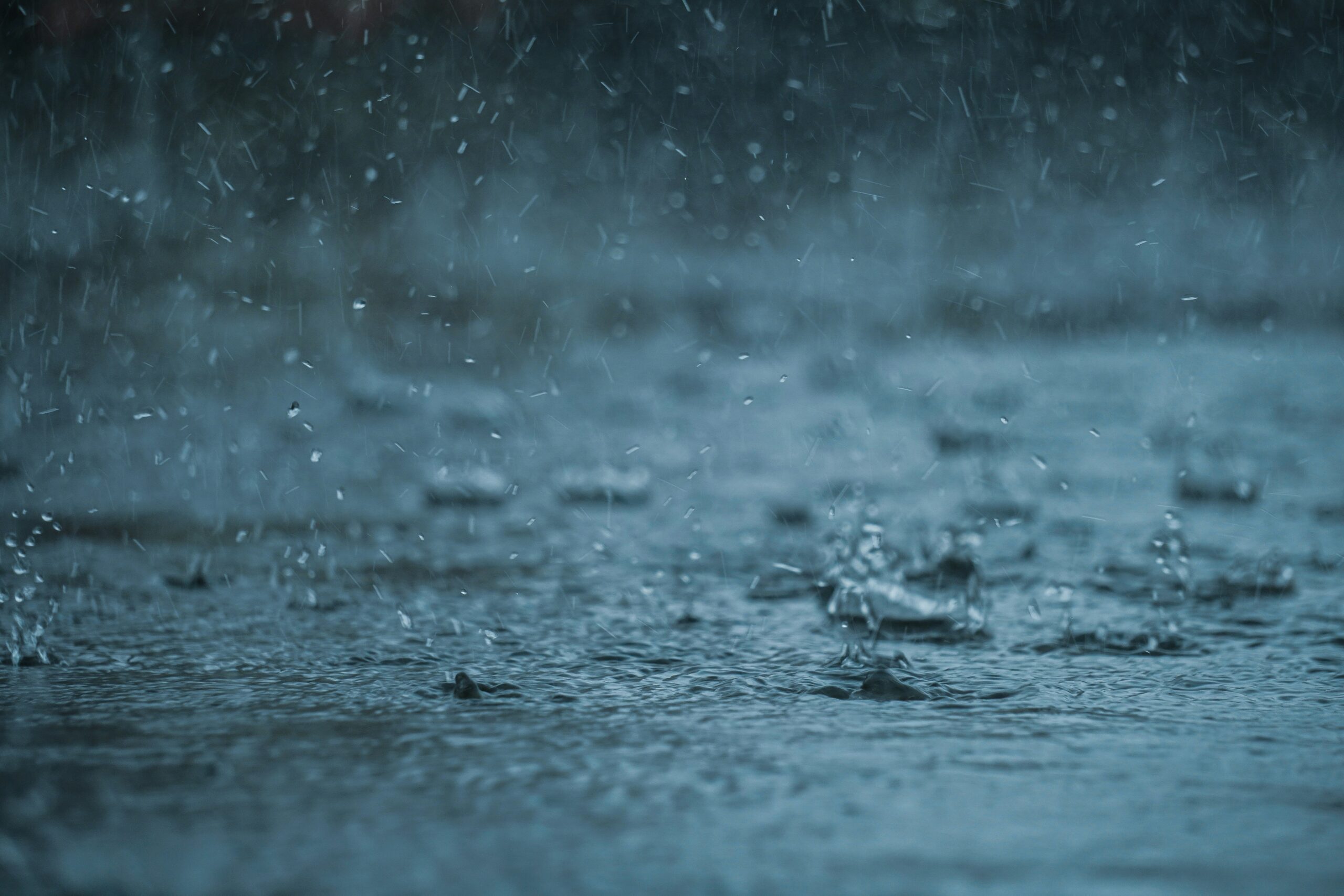 Sul tem alerta máximo para chuva e ventos de até 90 km/h; veja previsão
