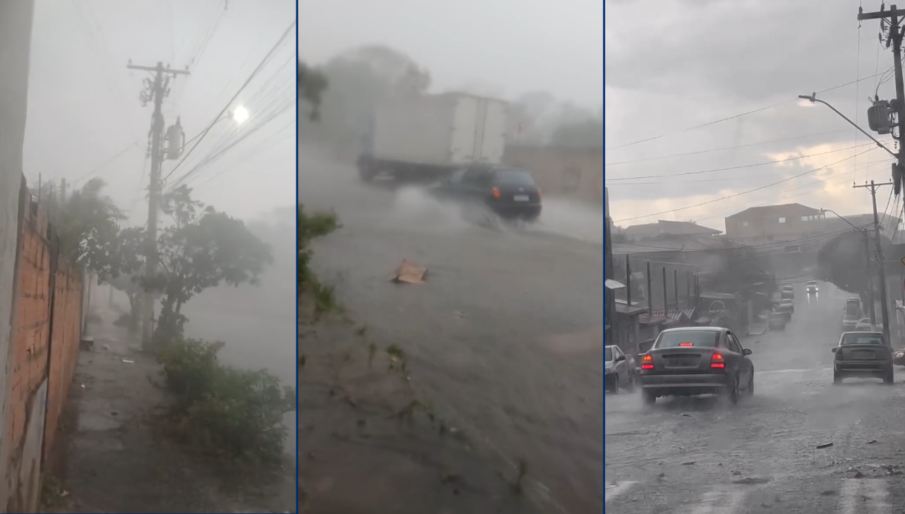 Ventos e chuva causam queda de árvores em 6 pontos de Hortolândia
