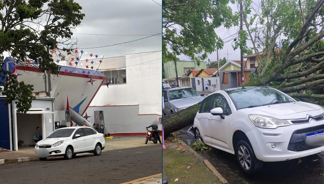 Cosmópolis: temporal provoca estragos em posto e afetam 20 árvores