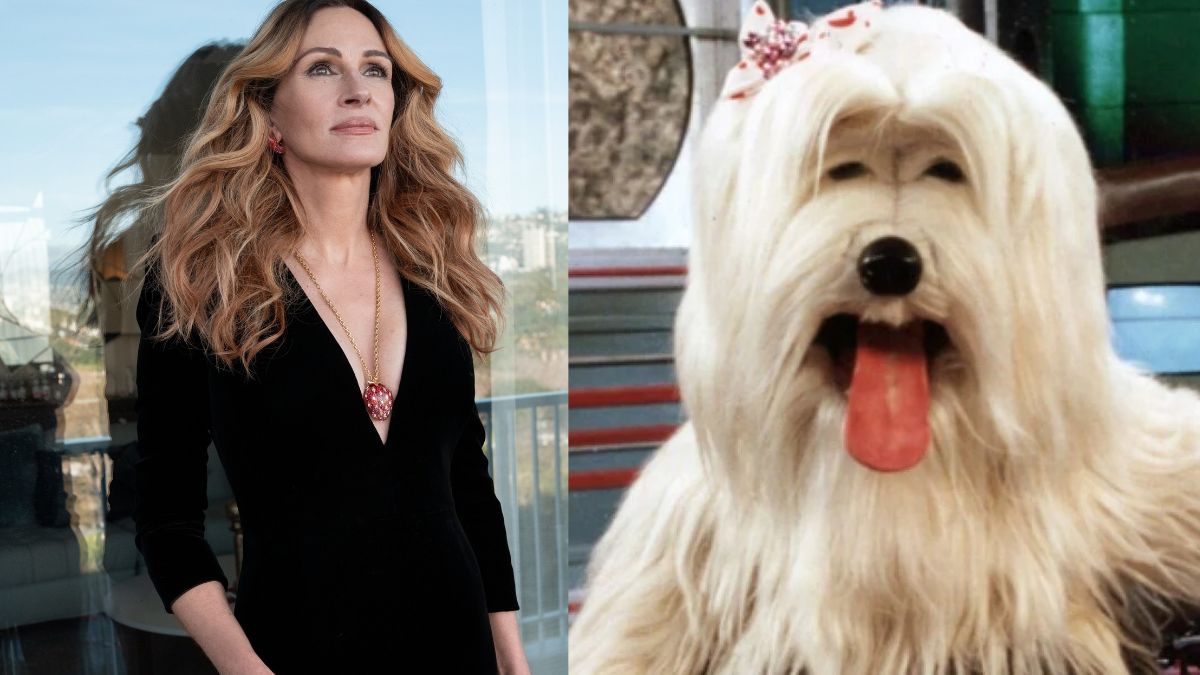O que Julia Roberts e a Playboy têm em comum com Priscila, da TV Colosso?