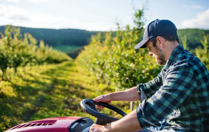 Agro bate recorde e emprega 28,4 milhões de pessoas no Brasil