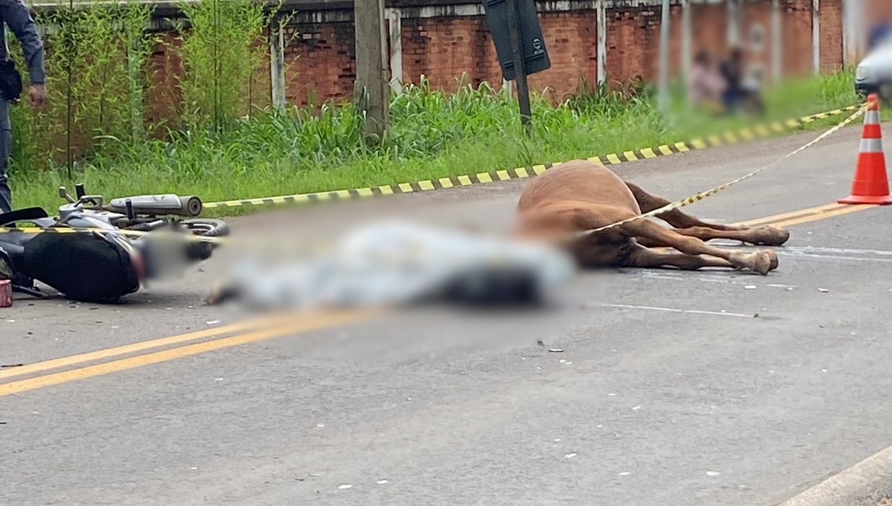 Mulher e cavalo morrem após acidente na Estrada do Serrote, em Piracicaba